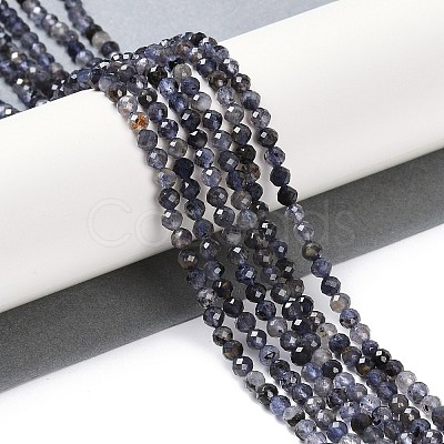 Natural Iolite Beads Strands G-G139-A11-03-1