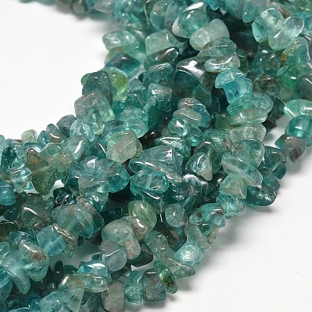 Polished Natural Apatite Chips Beads Strands G-O066-02-1