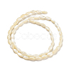 Natural Trochid Shell/Trochus Shell Beads Strands PBB513Y-4
