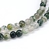 Natural Gemstone Round Bead Strands X-G-J303-07-8mm-3