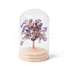 Natural Amethyst Chips Money Tree in Dome Glass Bell Jars with Wood Base Display Decorations DJEW-B007-04G-1