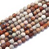 Natural Fossil Coral Beads Strands G-K310-A03-6mm-1