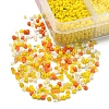 8500Pcs 10 Style Glass Seed Beads SEED-YW0001-80F-3