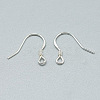 925 Sterling Silver Earring Hooks STER-T002-168S-2