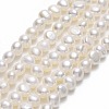 Natural Cultured Freshwater Pearl Beads Strands PEAR-A005-09-1