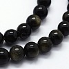 Natural Golden Sheen Obsidian Beads Strands G-I199-14-12mm-3