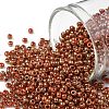 TOHO Round Seed Beads SEED-JPTR11-1707-1