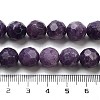 Natural Lepodolite Beads Strands G-C150-B03-02-5