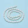 Natural Cultured Freshwater Pearl Beads Strands PEAR-J006-09B-3