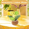 DIY Monstera Leaf Planter Knitting Kits for Beginners PW-WG45856-01-2