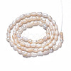 Natural Cultured Freshwater Pearl Beads Strands PEAR-N012-03C-2