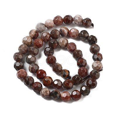 Natural Petrified Wood Beads Strands G-C150-B01-01-1