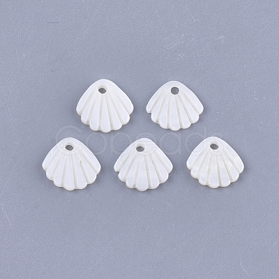 Freshwater Shell Charms X-SHEL-T012-62-1