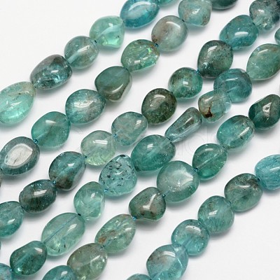 Natural Apatite Bead Strands X-G-L459-13-1