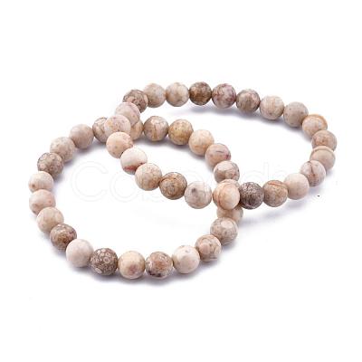 Natural Maifanite/Maifan Stone Bead Stretch Bracelets BJEW-K212-A-044-1