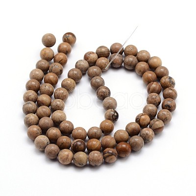 Natural Picture Jasper Round Bead Strands G-J303-08-6mm-1