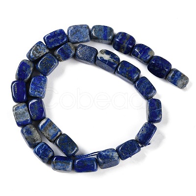 Natural Lapis Lazuli Beads Strands G-M403-D03-01-1