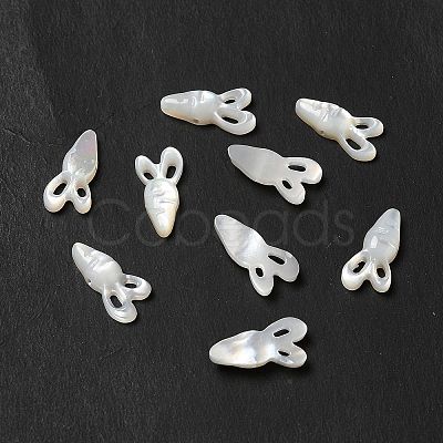 Natural White Shell Beads BSHE-E026-07-1