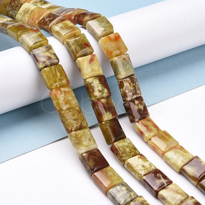 Natural Dragon Blood Jabe Beads Strands G-E572-03-1