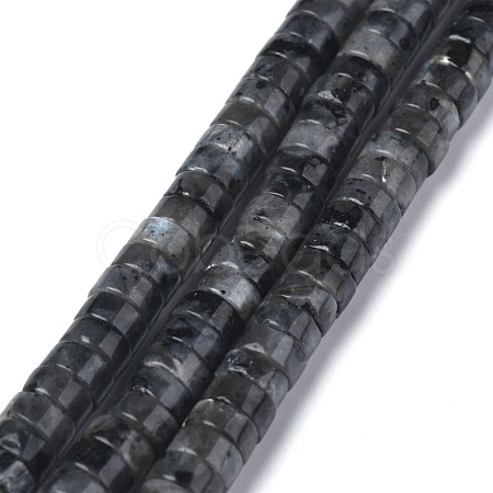 Natural Black Larvikite Beads Strands G-Z006-C31-1