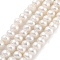 Natural Cultured Freshwater Pearl Beads Strands, Potato, Beige, 5~6mm, Hole: 0.6mm, about 33pcs/strand, 6.89~7.09 inch(17.5~18cm)