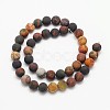 Frosted Round Natural Picture Jasper Beads Strands G-N0166-48-10mm-3