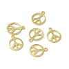 Rack Plating Brass Charms X-KK-C007-08G-1