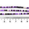 Handmade Czech Lampwork Beads Strands LAMP-L078-008E-4