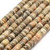 Natural Fossil Coral Beads Strands G-F481-06-5mm-1