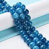 Dyed Natural Malaysia Jade Beads Strands G-G021-02B-10-2