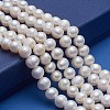 Natural Cultured Freshwater Pearl Beads Strands A23WZ011-5