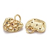 Brass Micro Pave Colorful Cubic Zirconia Charms KK-P192-06G-3