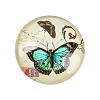 Butterfly Printed Glass Half Round/Dome Cabochons X-GGLA-N004-20mm-C-2