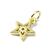 Brass Charms KK-H475-38G-02-2