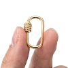 Brass Micro Pave Clear Cubic Zirconia Screw Carabiner Lock Charms X-ZIRC-T010-10G-5