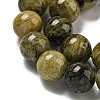 Natural Green Tourmaline Beads Strands G-B099-C05-05-4