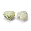 Natural Gemstone Beads G-I219-02-2