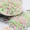 Glass Seed Beads SEED-K009-02B-19-1