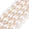 Natural Cultured Freshwater Pearl Beads Strands PEAR-P062-10I-1