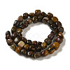 Natural Petrified Wood Beads Strands G-B078-D18-01-3