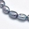 Natural Cultured Freshwater Pearl Beads Strands PEAR-K003-19C-3