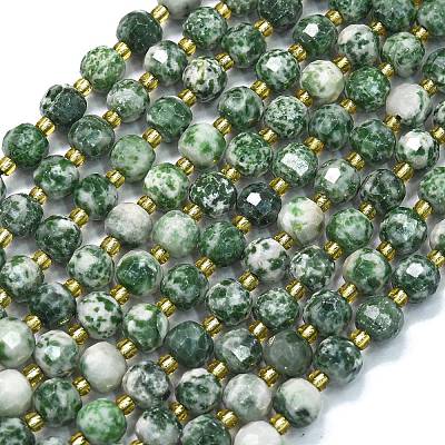 Natural Green Spot Jasper Beads Strands G-K389-E64-01-1