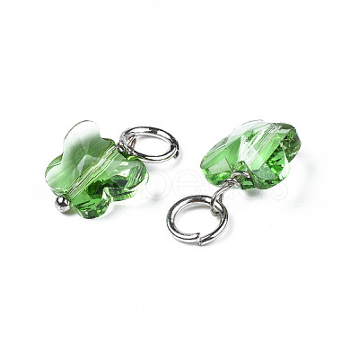 Faceted Transparent Glass Charms GLAA-T024-06G-1