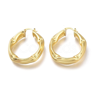 Brass Hoop Earrings EJEW-H104-14G-1