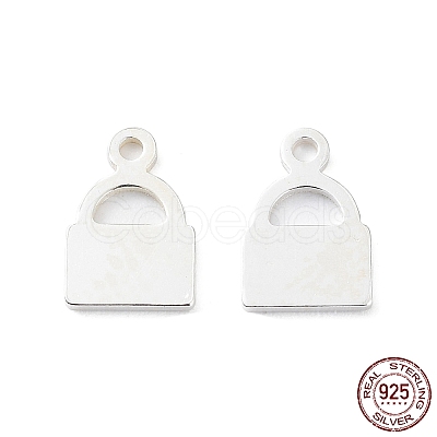 925 Sterling Silver Charms STER-F053-06S-1