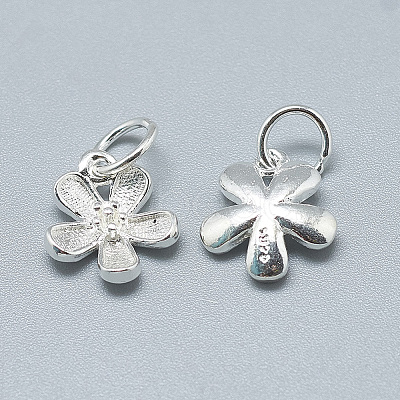 925 Sterling Silver Charms STER-T002-63S-1