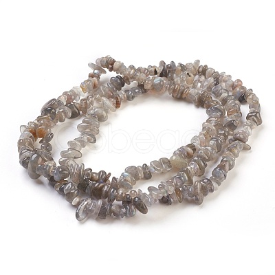 Natural Labradorite Beads Strands G-F575-10-1