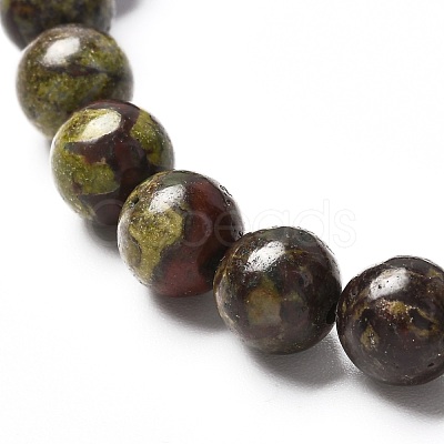 Natural Dragon Blood Jasper Stretch Bracelets for Men Women BJEW-JB06696-1