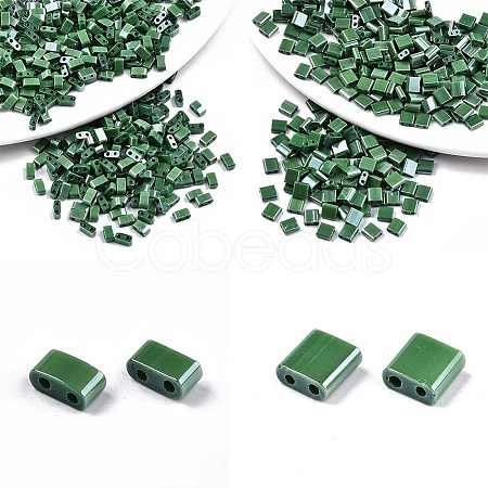 Nbeads 520Pcs 2 Style 2-Hole Glass Seed Beads SEED-NB0001-72B-1