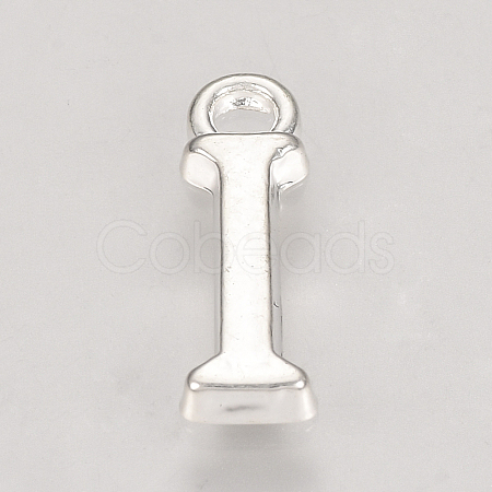 Alloy Charms TIBE-R313-049S-I-1